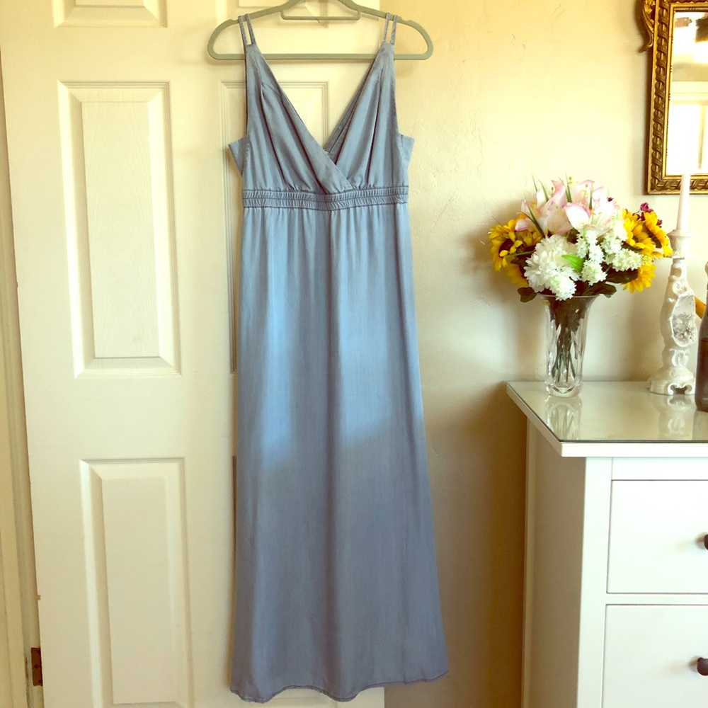 Anthropologie holding horses chambray dress